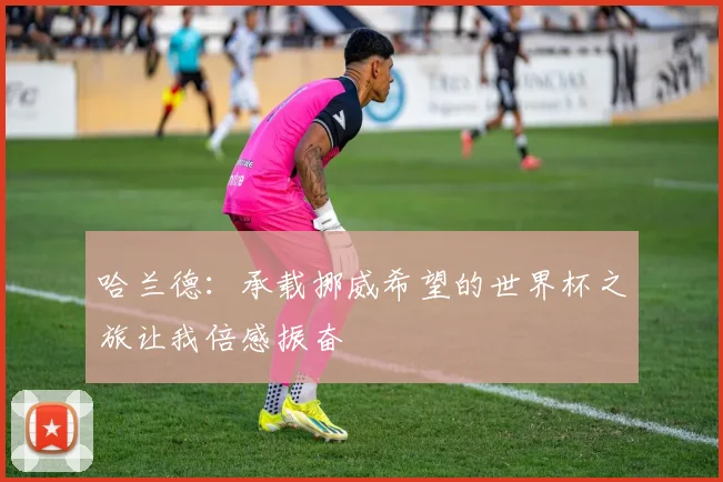 哈兰德：承载挪威希望的世界杯之旅让我倍感振奋